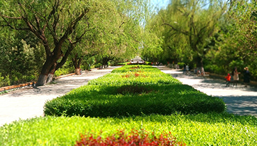 呼和浩特園林管理局的智能巡檢方式